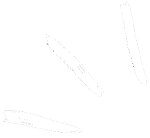 Abonnement Petit Galop - illustration