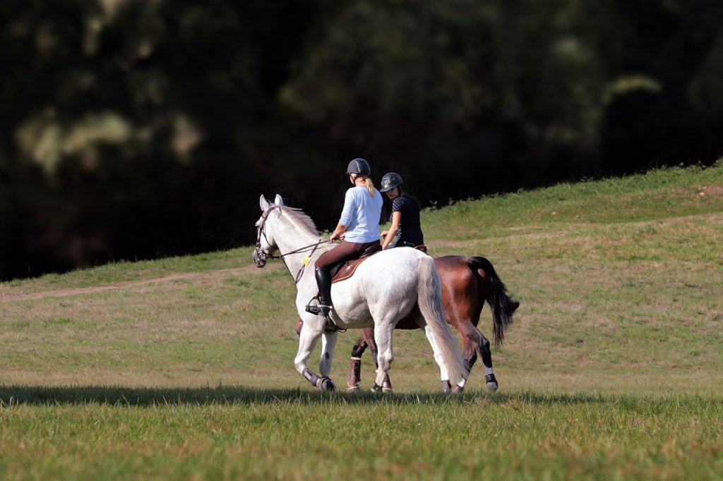 Aller en extérieur et en terrain varié à cheval