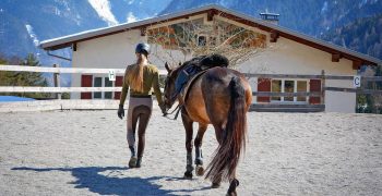 Amener le cheval dans le manège