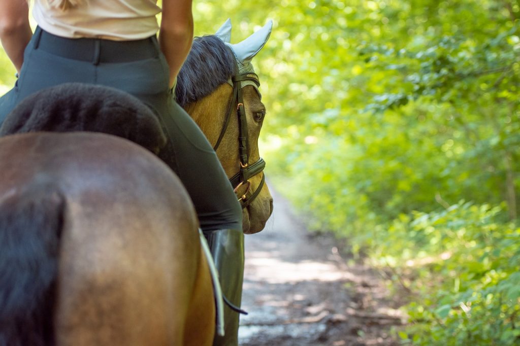 Communiquer à cheval