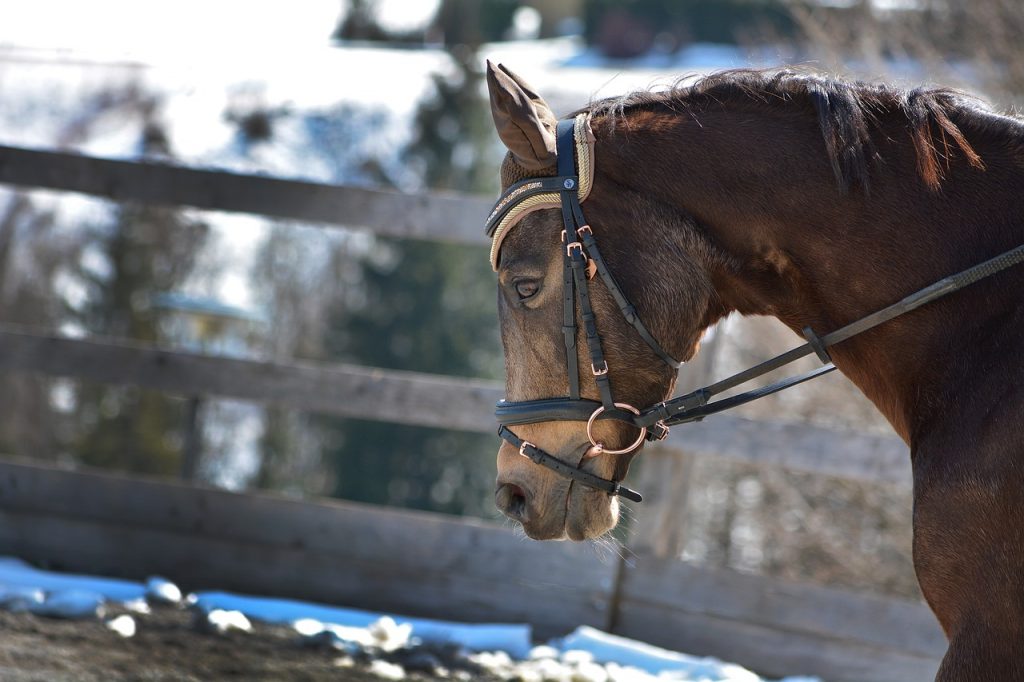 Marcher en main avec le contact