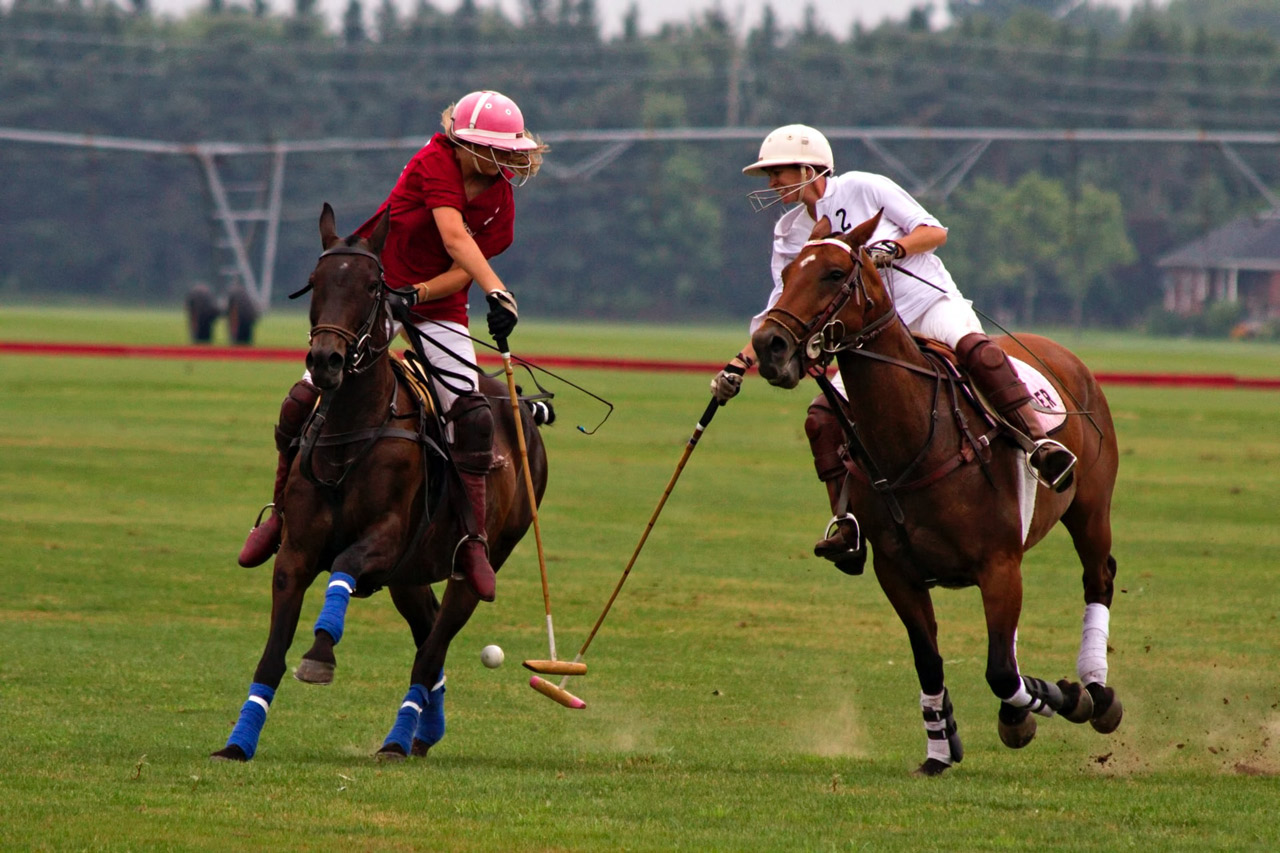 Sports d'équipe à cheval - Polo