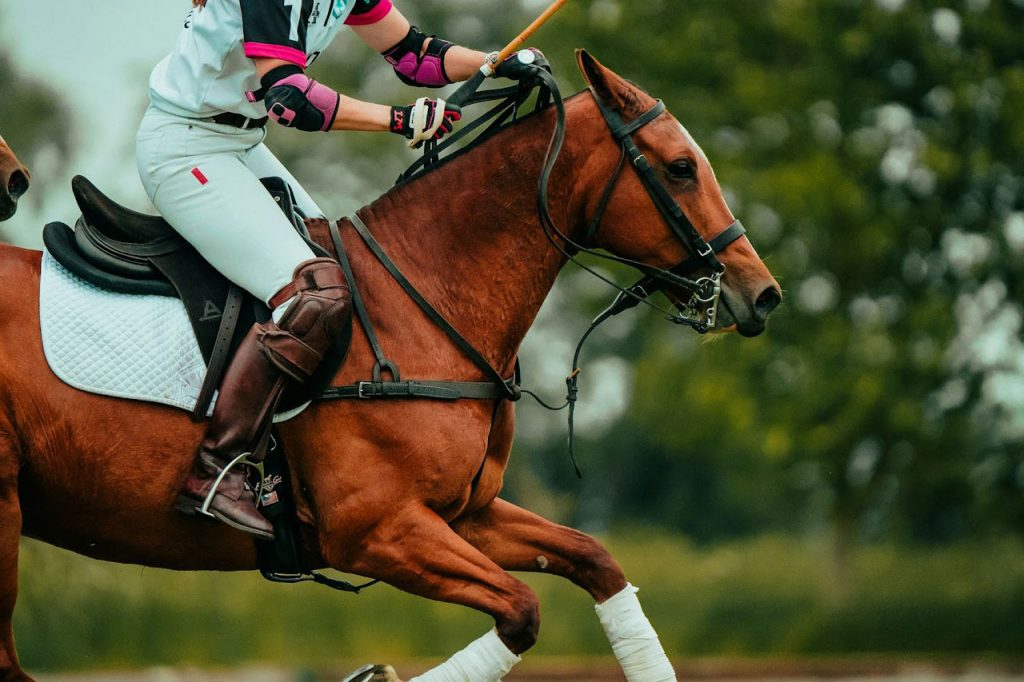 Martingale fixe