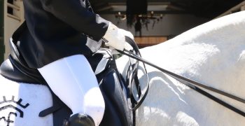 Monter à cheval avec 4 rênes