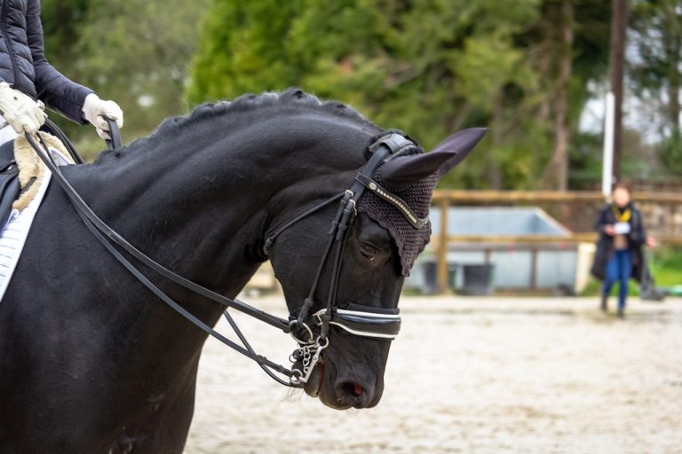 La reprise de dressage Galop 7 - Petit Galop