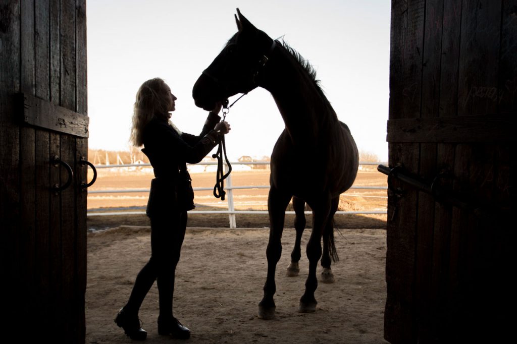 Les métiers du cheval