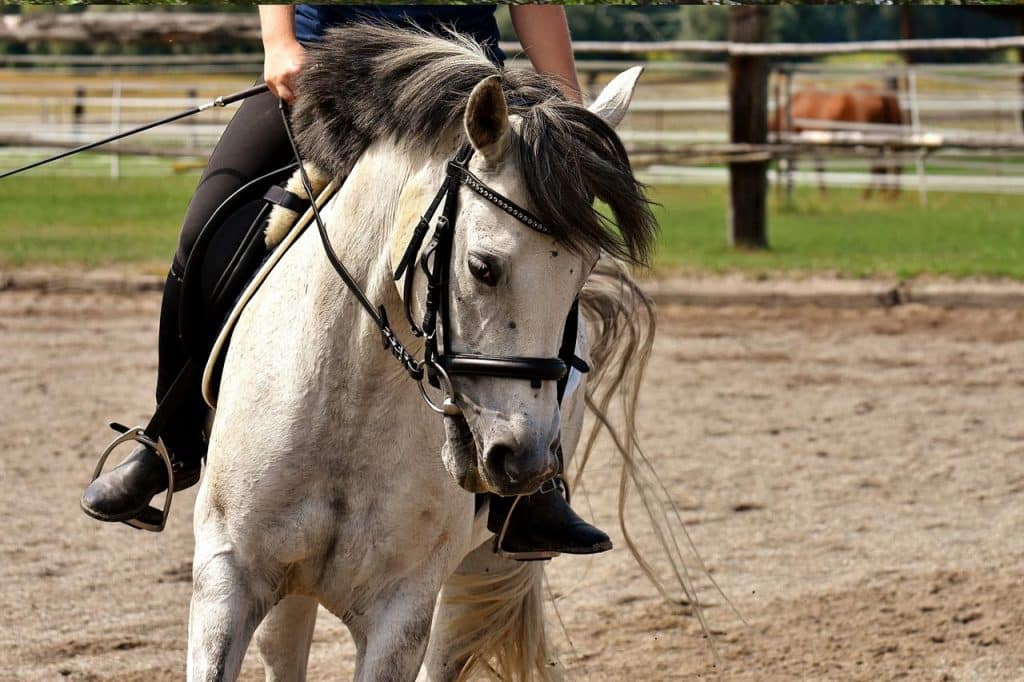 Aides pour tourner à cheval
