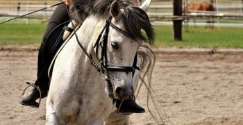 Aides pour tourner à cheval