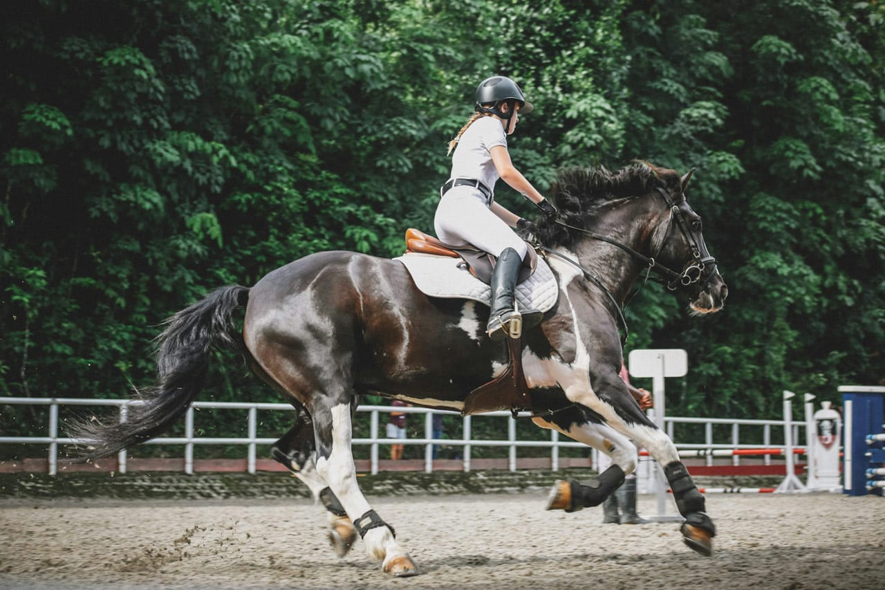 Est-ce que l'équitation est un sport ?