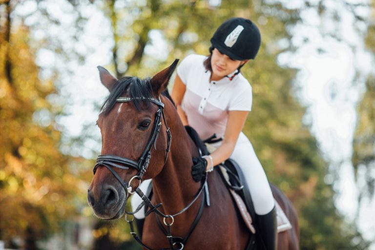 Comment créer une complicité avec son cheval ? - Petit Galop