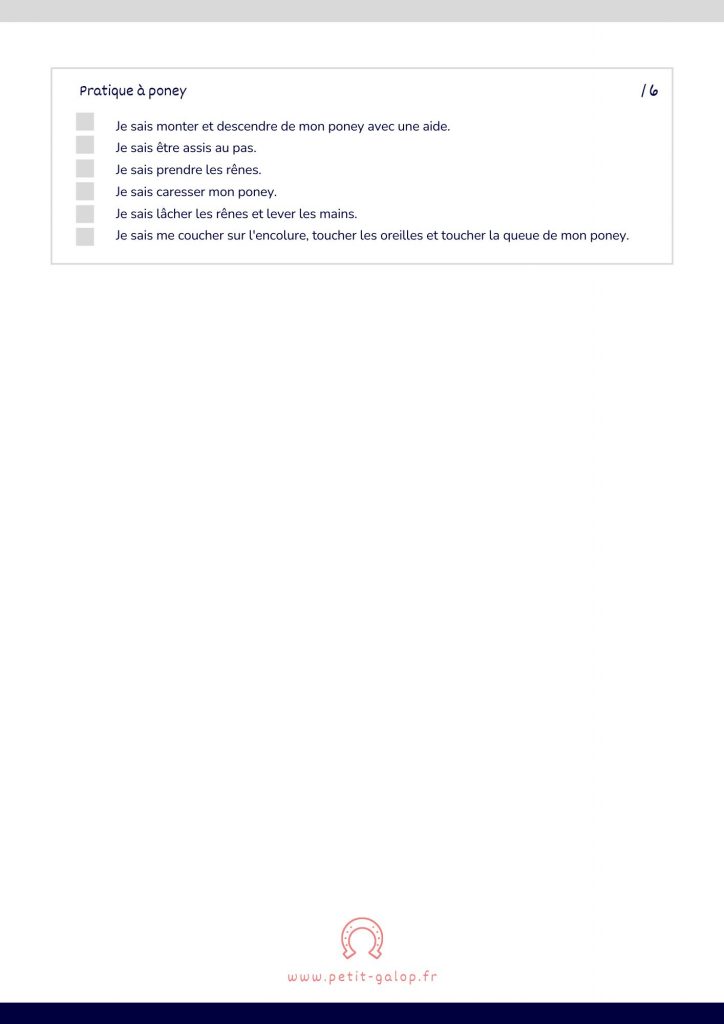 Programme Poney de Bronze 2