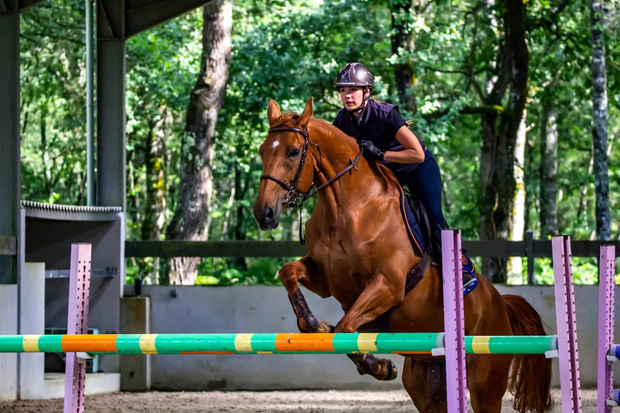 Progresser à cheval