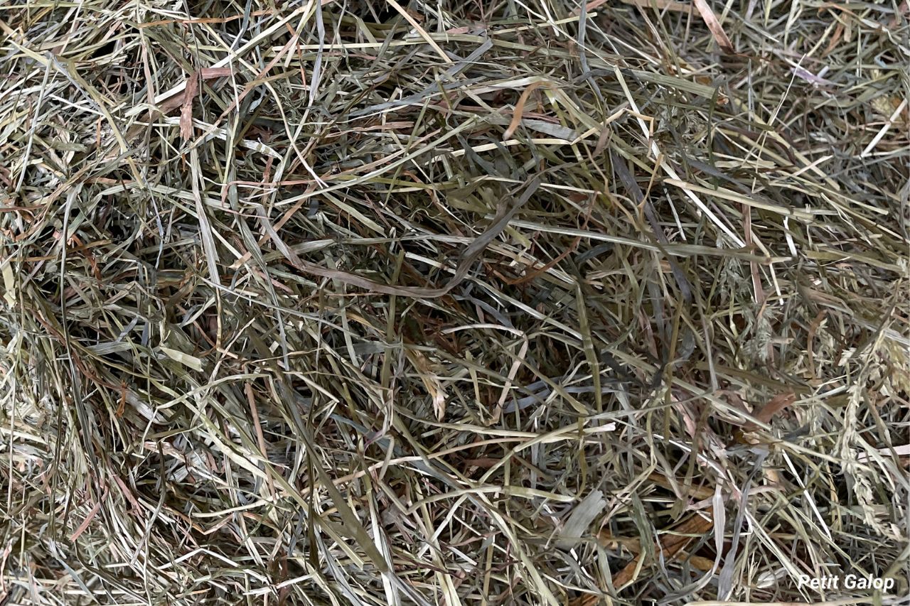 Aliments foin cheval