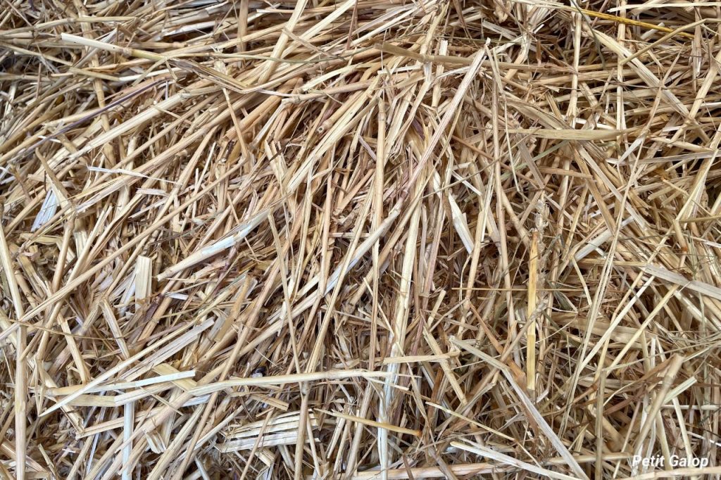 Aliments paille cheval