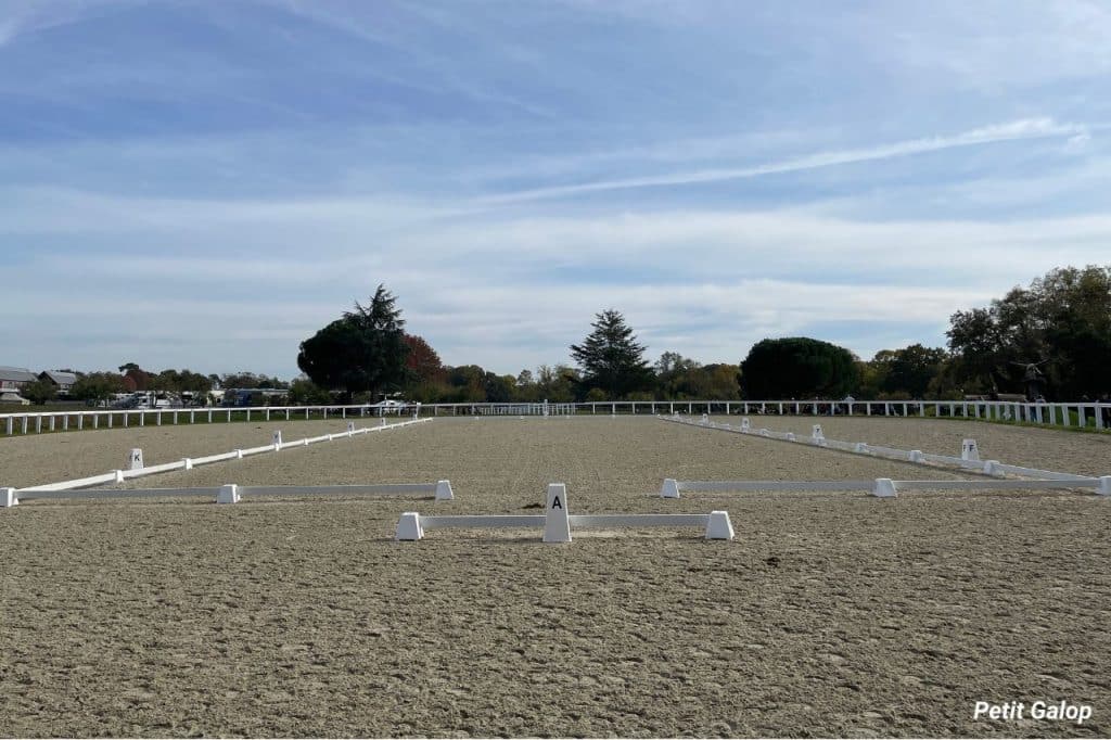 Carrière de dressage