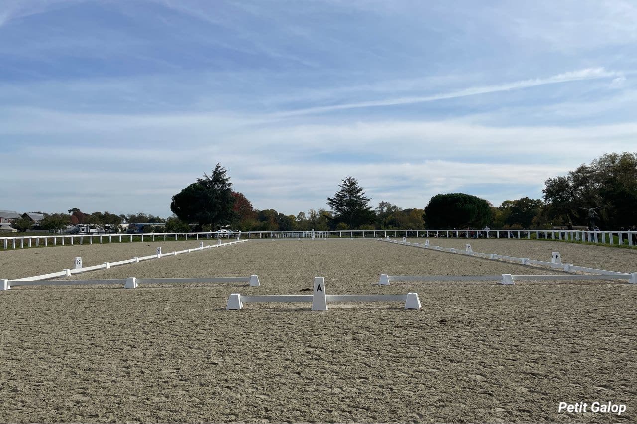 Carrière de dressage