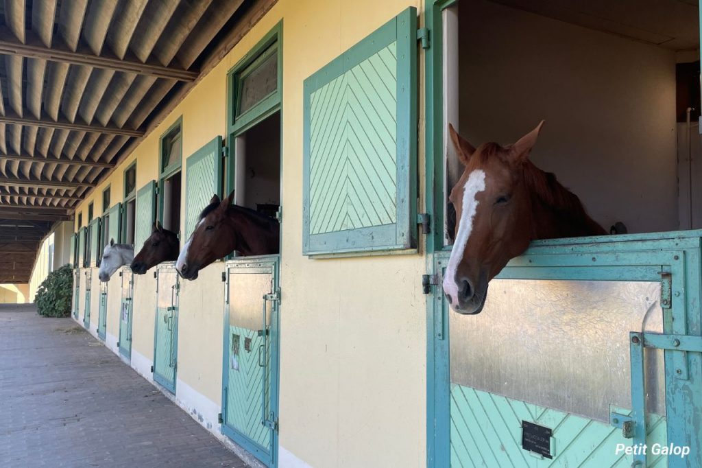 Centre équestre écurie