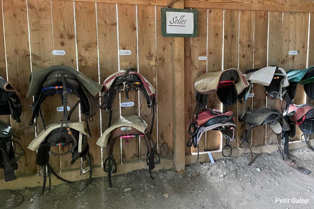 Centre équestre sellerie