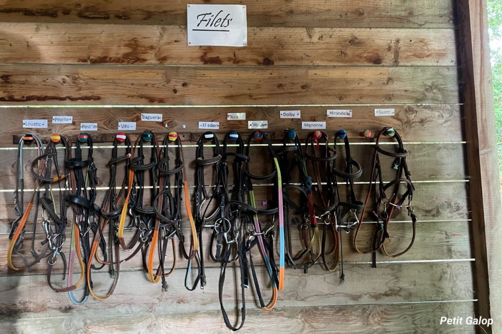 Centre équestre sellerie