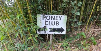 Choisir centre équestre