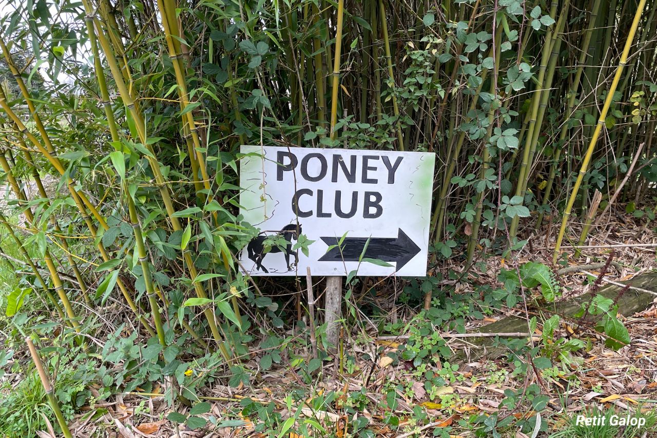 Choisir centre équestre