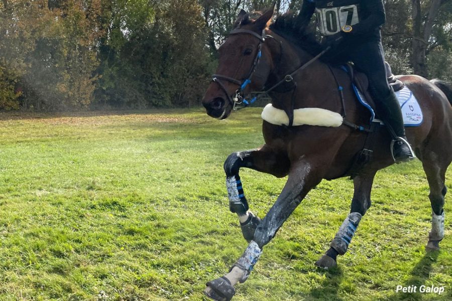 Le CCE : le guide du Concours Complet d'Équitation - Petit Galop