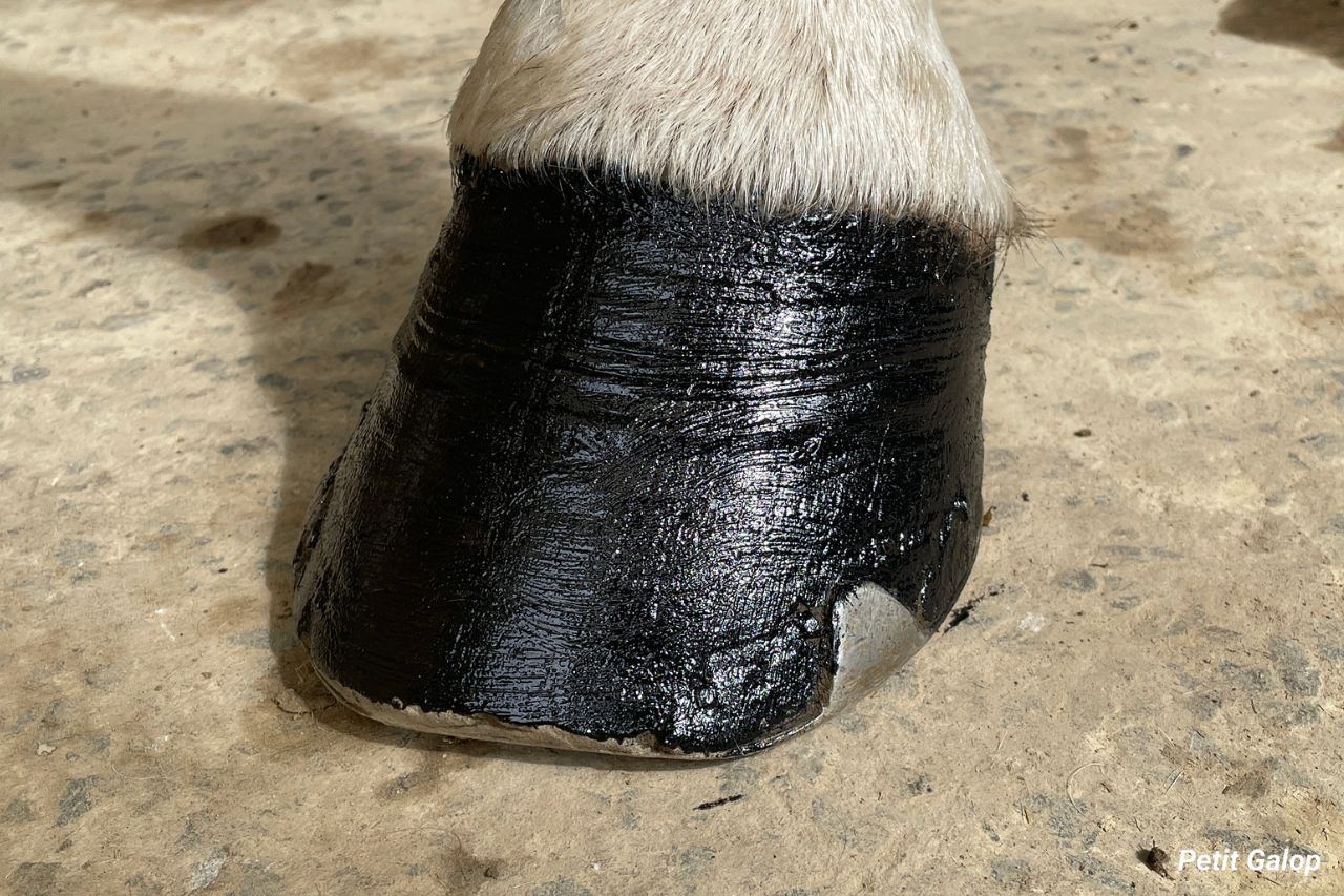 Graisser sabots cheval