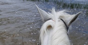 Itinéraire à cheval