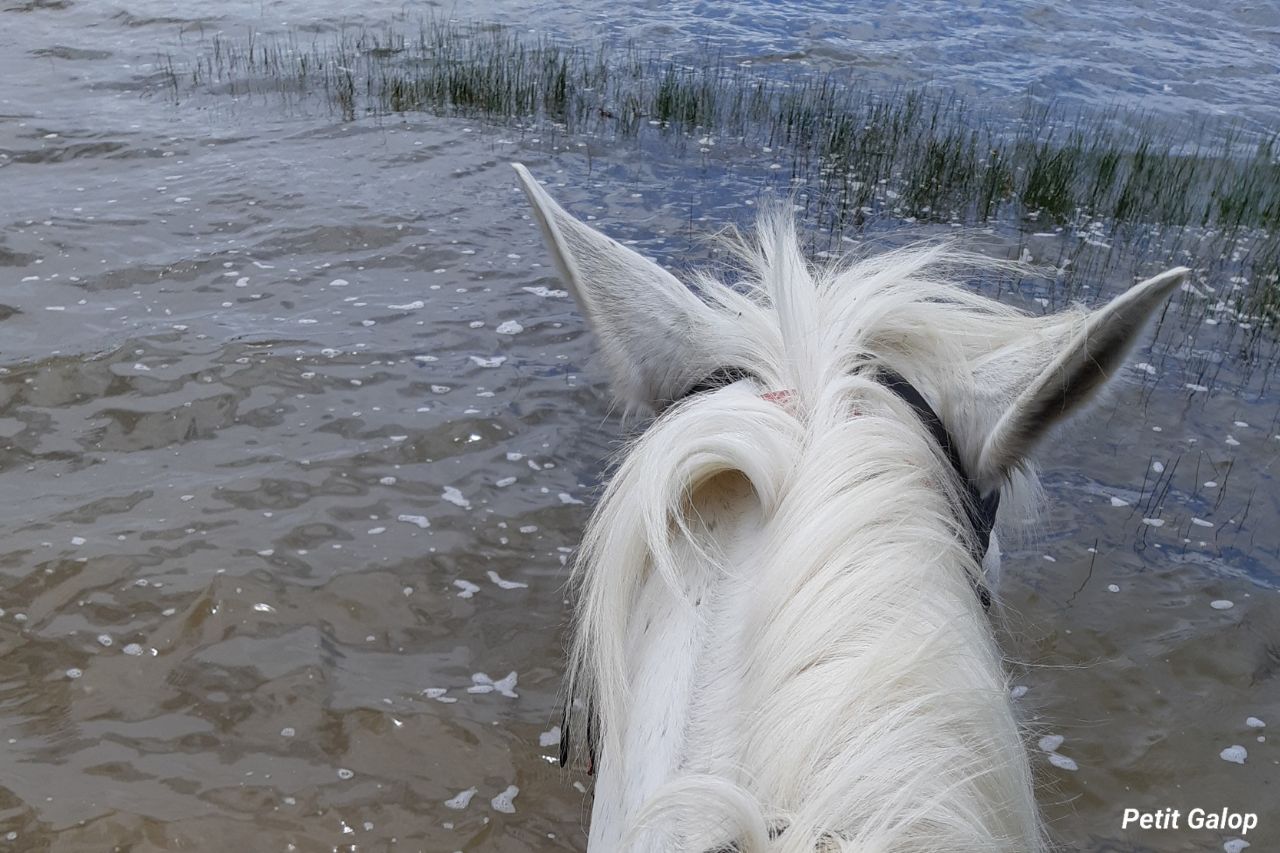 Itinéraire à cheval