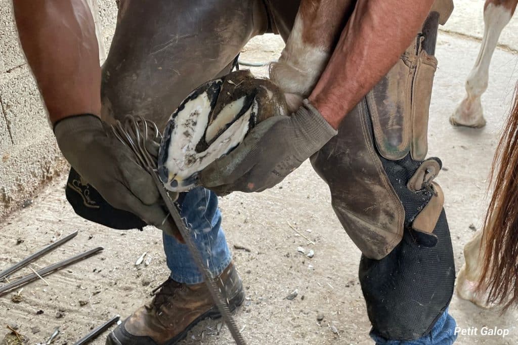 Maréchal-ferrant parage