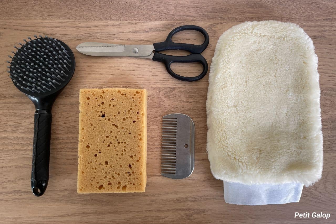 Matériel pansage complet cheval