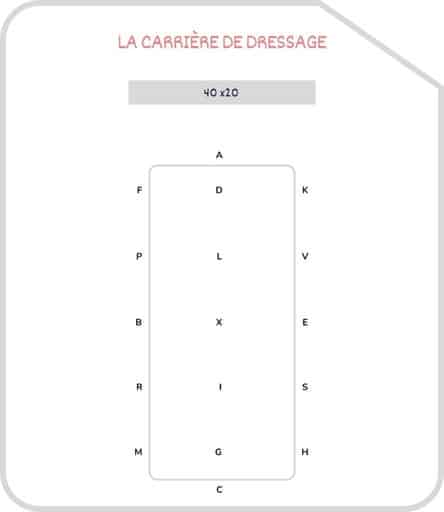Miniature carrière de dressage 40x20
