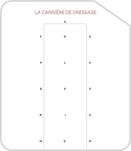 Miniature carrière de dressage 60x20
