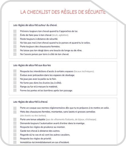 Miniature checklist règles de securite