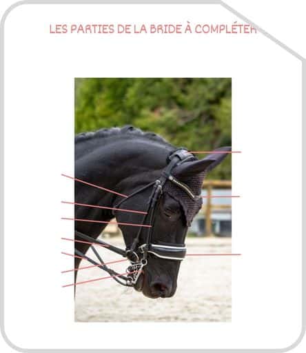 Miniature parties de la bride a completer