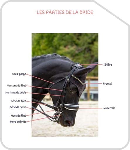 Miniature parties de la bride