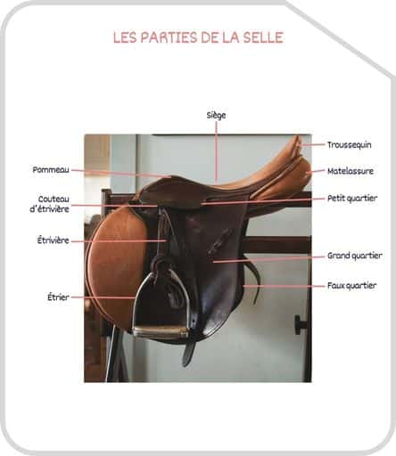 Miniature parties de la selle