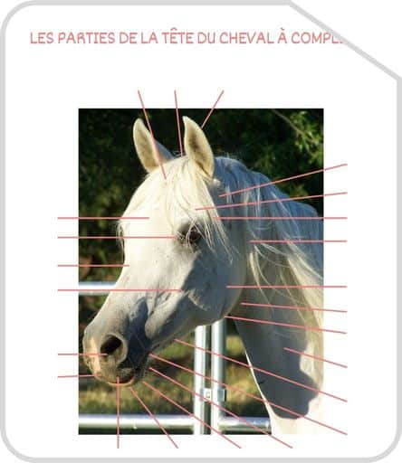 Miniature parties de la tete G3 a completer