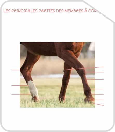 Miniature parties des membres G2 a completer