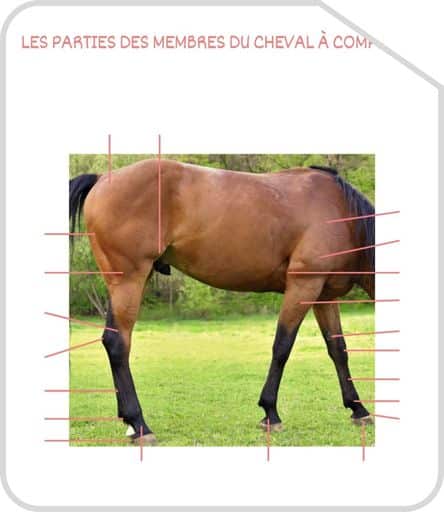 Miniature parties des membres G3 a completer