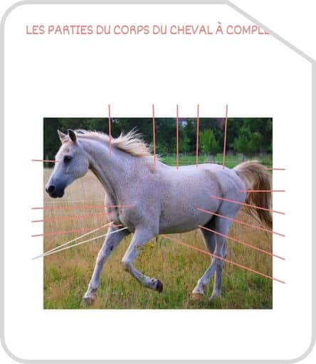 Miniature parties du corps G3 a completer