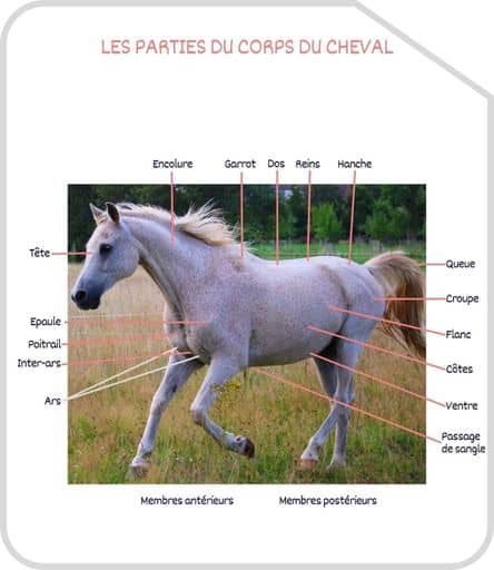 Miniature parties du corps G3