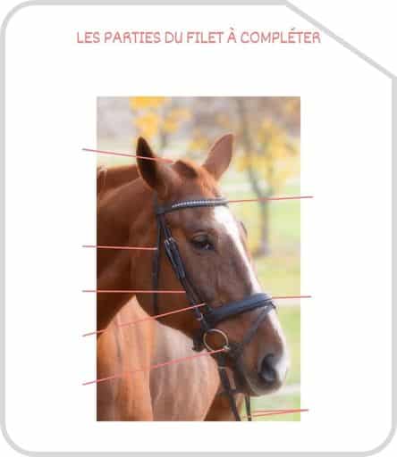 Miniature parties du filet a completer