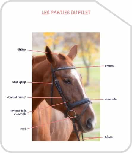 Miniature parties du filet