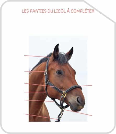 Miniature parties du licol a completer