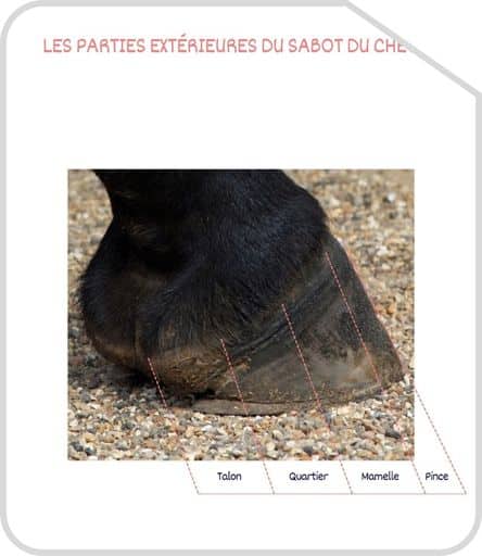 Miniature parties du sabot exterieur