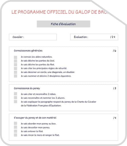 Miniature programme Galop de Bronze