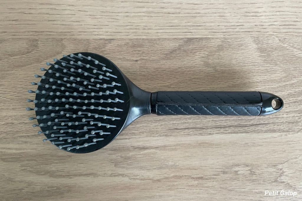 Pansage brosse a crins