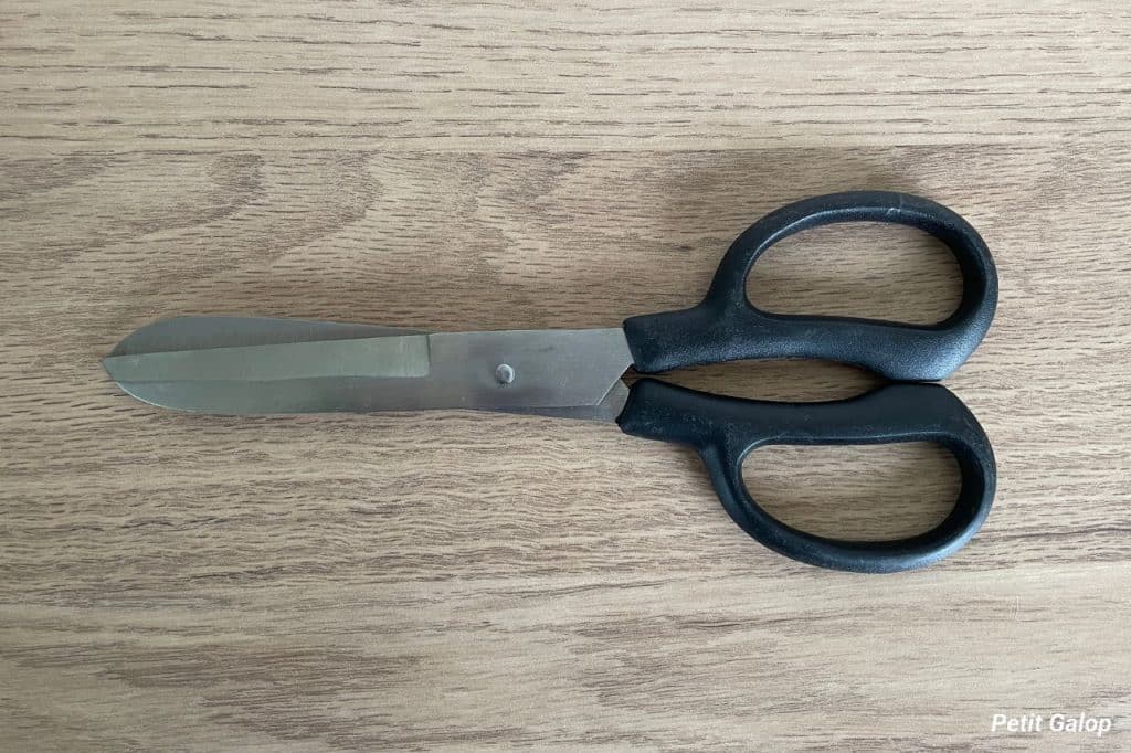 Pansage ciseaux à bouts ronds