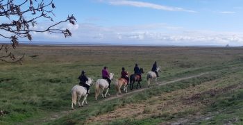 Règles de circulation à cheval en extérieur